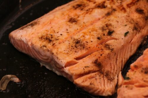 salmon, salmon steak, food, salmon fillet, fish, nature, grill, cook