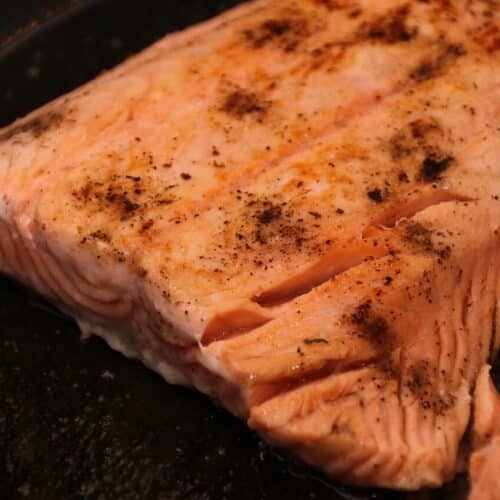 salmon, salmon steak, food, salmon fillet, fish, nature, grill, cook